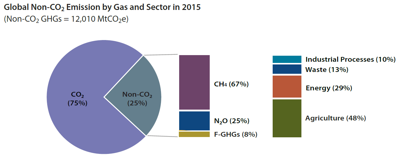 Global Non-CO2 Emission by Gas and Sector in 2015 